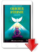 Chercheur d'éternité Ebook